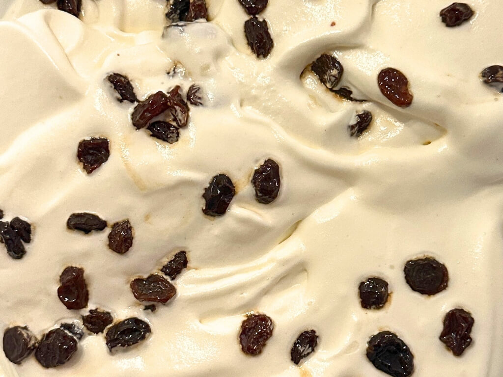 Rum Raisin